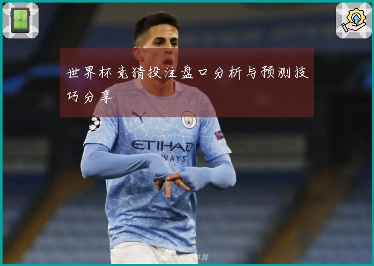 世界杯竞猜投注盘口分析与预测技巧分享