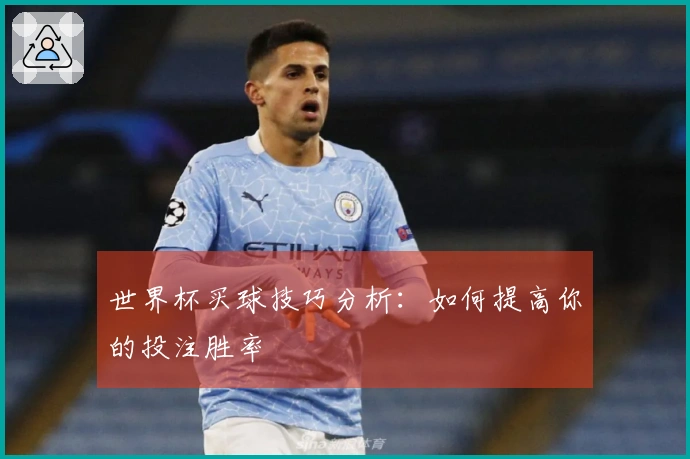 世界杯买球技巧分析：如何提高你的投注胜率