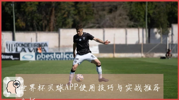 世界杯买球APP使用技巧与实战推荐分析