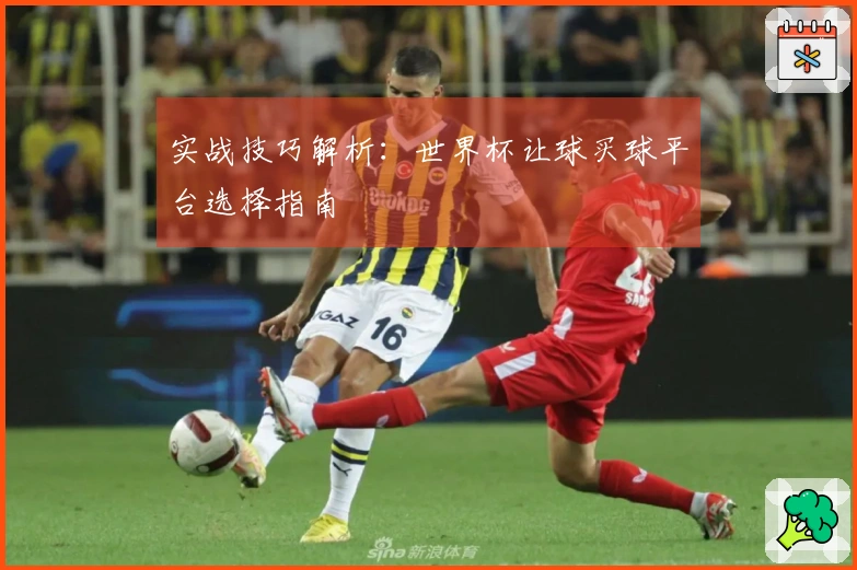实战技巧解析：世界杯让球买球平台选择指南
