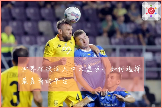 世界杯投注入口大盘点，如何选择最靠谱的平台