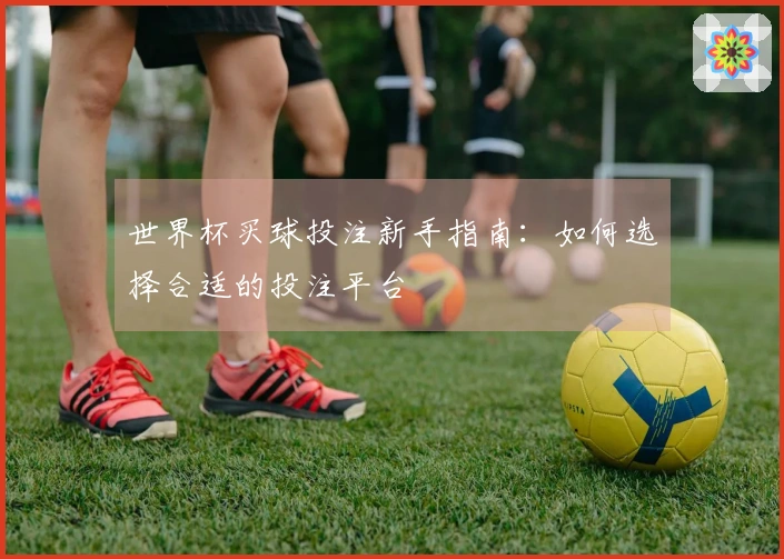 世界杯买球投注新手指南：如何选择合适的投注平台