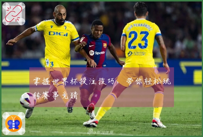 掌握世界杯投注技巧，带你轻松玩转赛事竞猜