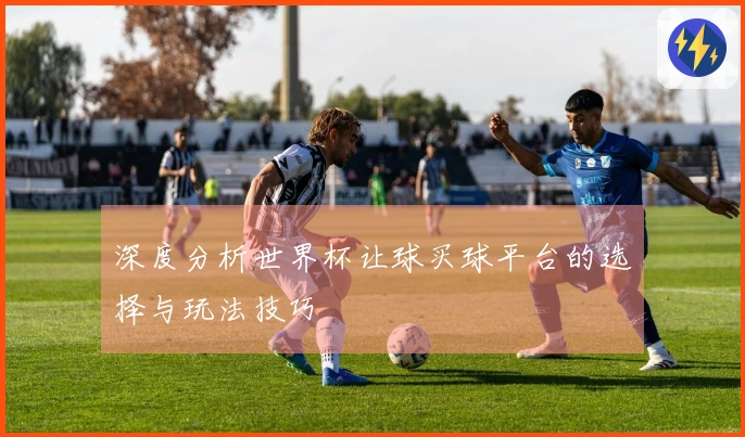深度分析世界杯让球买球平台的选择与玩法技巧