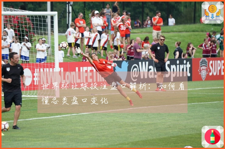 世界杯让球投注盘口解析：如何看懂各类盘口变化