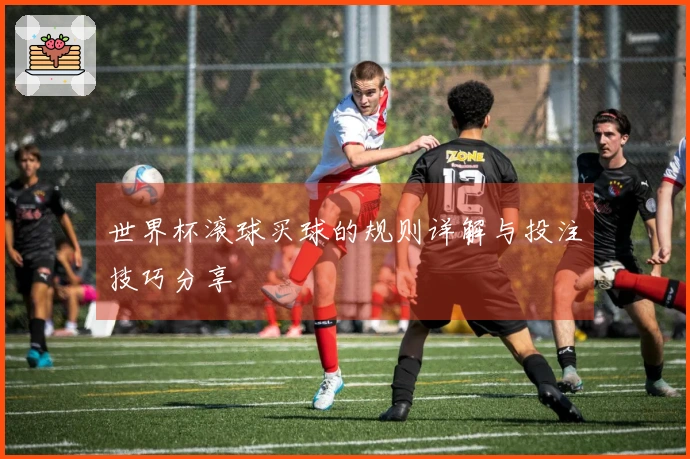 世界杯滚球买球的规则详解与投注技巧分享