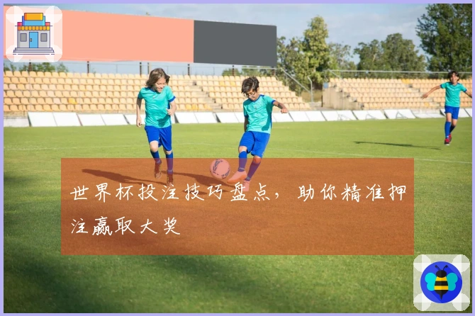 世界杯投注技巧盘点，助你精准押注赢取大奖