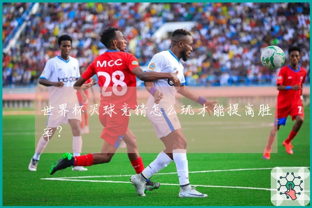 世界杯买球竞猜怎么玩才能提高胜率？