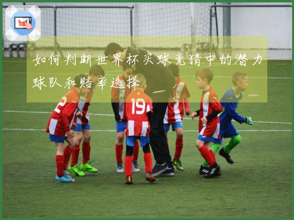 如何判断世界杯买球竞猜中的潜力球队和赔率选择