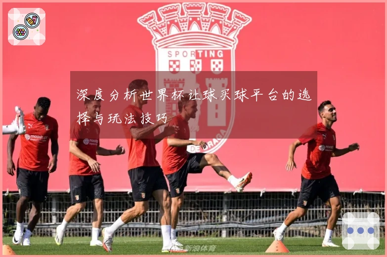 深度分析世界杯让球买球平台的选择与玩法技巧