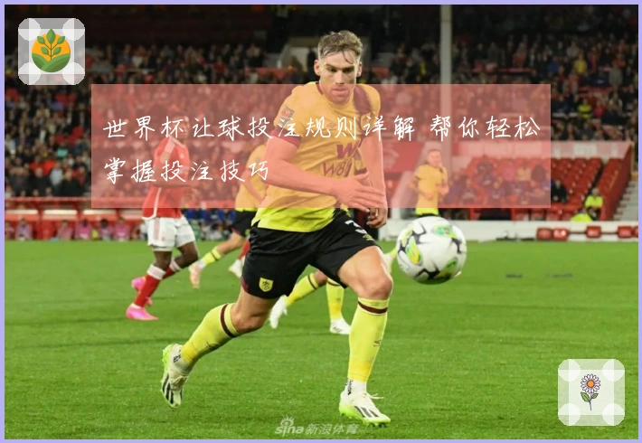 世界杯让球投注规则详解 帮你轻松掌握投注技巧