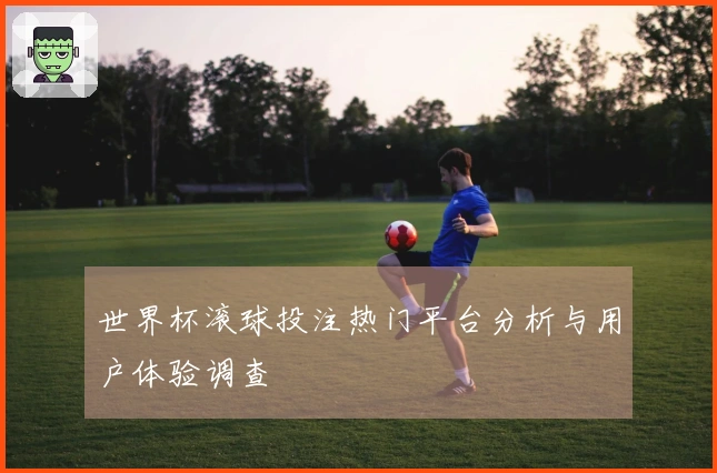 世界杯滚球投注热门平台分析与用户体验调查